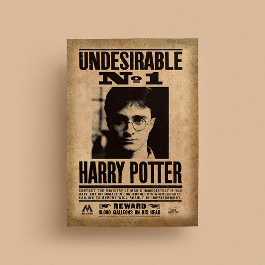 Daily Propet | #01 | Harry Potter Poster